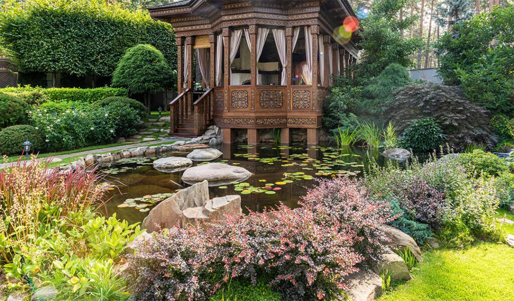 Garden Pond Plants