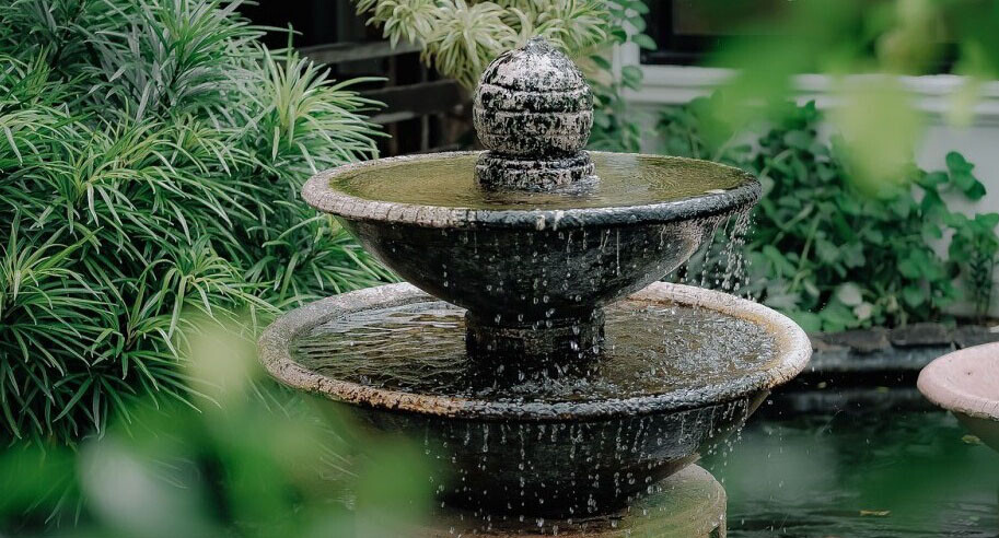 Plants For Water Feature