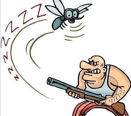 keep mosquitoes out of the fountain